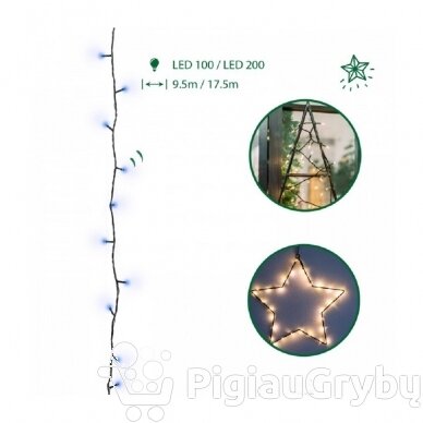 300 LED Kalėdinė lempučių girlianda 25,5 m, mėlyna šviesa 1